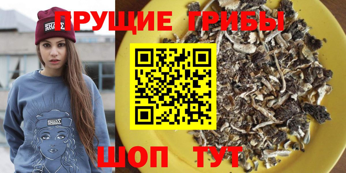 Псилоцибиновые грибы GOLDEN TEACHER  Вход с VPN  Анжеро-Судженск 